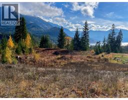 235 Fullmoon Road, Rosebery, BC V0G1S1 Photo 3