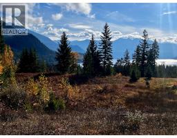 235 Fullmoon Road, Rosebery, BC V0G1S1 Photo 4