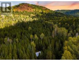 1041 Rosebud Lake Road, Nelway, BC V0G1Z0 Photo 3