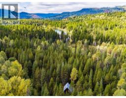 1041 Rosebud Lake Road, Nelway, BC V0G1Z0 Photo 2