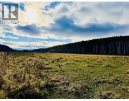 Lot 2 Telkwa High Road, Smithers, BC V0J2N7 Photo 3