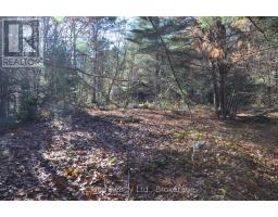 3 Parker Bay Road, Whitestone, ON P0G1G0 Photo 3