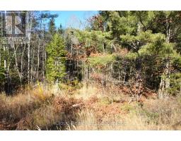 3 Parker Bay Road, Whitestone, ON P0G1G0 Photo 4