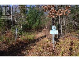 2 Parker Bay Road, Whitestone, ON P0A1G0 Photo 4