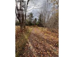 682 Boyd Road, Elmsville, NB E5A1M8 Photo 4