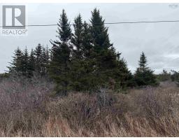 Georges Road, Upper Whitehead, NS B0H1T0 Photo 4