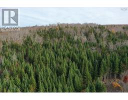 Lot 105 Acres Macmillan Road, Willowdale, NS B2H5C8 Photo 4