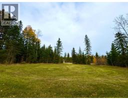 119 Meadow Ponds Drive, Rural Clearwater County, AB T4T1A7 Photo 2