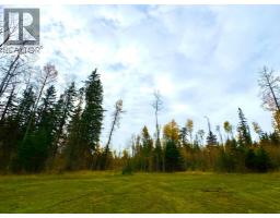 119 Meadow Ponds Drive, Rural Clearwater County, AB T4T1A7 Photo 3