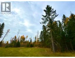 119 Meadow Ponds Drive, Rural Clearwater County, AB T4T1A7 Photo 4