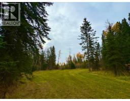 119 Meadow Ponds Drive, Rural Clearwater County, AB T4T1A7 Photo 5