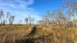 62 Amanda Lane, La Broquerie, MB R0A0W1 Photo 2