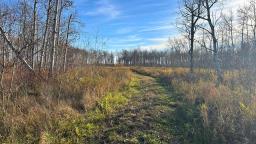 62 Amanda Lane, La Broquerie, MB R0A0W1 Photo 3