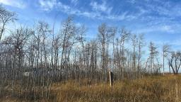 62 Amanda Lane, La Broquerie, MB R0A0W1 Photo 4