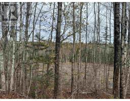 Feener Road, Farmington, NS B0R1A0 Photo 4