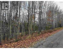 Feener Road, Farmington, NS B0R1A0 Photo 5