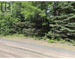 2 Lot 2 Butler Road Road, Forest Home, NS B4N3V8 Photo 2
