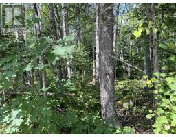 7 Lot 7 Butler Road Road, Forest Home, NS B4N3V8 Photo 2