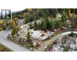 311 Richie Road, Rossland, BC V0G1Y0 Photo 3