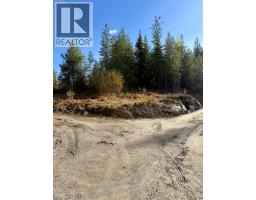 311 Richie Road, Rossland, BC V0G1Y0 Photo 4