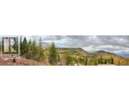 Lot C Richie Road, Rossland, BC V0G1Y0 Photo 4