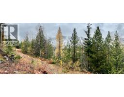 Lot C Richie Road, Rossland, BC V0G1Y0 Photo 3