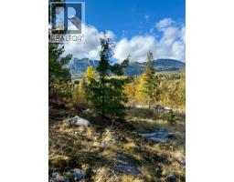 Lot C Richie Road, Rossland, BC V0G1Y0 Photo 2