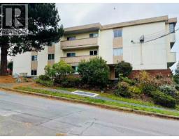 Kitchen - 303 1597 Midgard Ave, Saanich, BC V8P2Y2 Photo 3