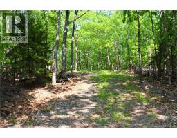 Hills Point Road, St Stephen, NB E3L4K5 Photo 2