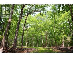 Hills Point Road, St Stephen, NB E3L4K5 Photo 3