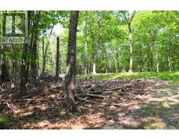 Hills Point Road, St Stephen, NB E3L4K5 Photo 4