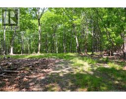 Hills Point Road, St Stephen, NB E3L4K5 Photo 5