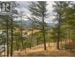 490 Sumac Road, Tappen, BC V0E2X1 Photo 2