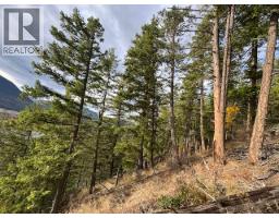 490 Sumac Road, Tappen, BC V0E2X1 Photo 3