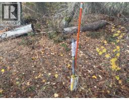 490 Sumac Road, Tappen, BC V0E2X1 Photo 5