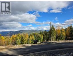 Proposed Lot 3 Richie Road, Rossland, BC V0G1Y0 Photo 2