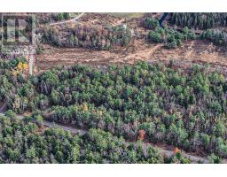 1036 Hopkins Road, Gravenhurst, ON P1P1R3 Photo 5