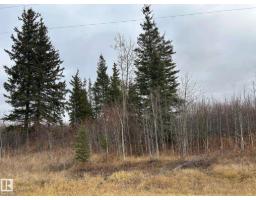 Rr 210 Twp Rd 605, Rural Thorhild County, AB T0A0A0 Photo 4