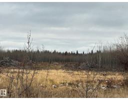 Rr 210 Twp Rd 605, Rural Thorhild County, AB T0A0A0 Photo 5