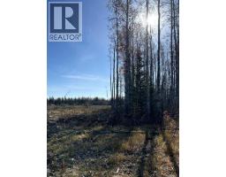 Sw 16 83 2 W 6, Rural Clear Hills County, AB T0H0J0 Photo 5