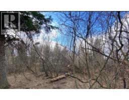 Kitchen - 207 Vrolson Road, Bawlf, AB T0B0J0 Photo 4