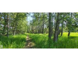 Twp 491 Range Road 73, Rural Brazeau County, AB T7A2A2 Photo 3