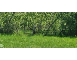 Twp 491 Range Road 73, Rural Brazeau County, AB T7A2A2 Photo 4