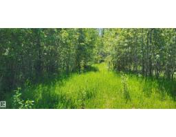 Twp 491 Range Road 73, Rural Brazeau County, AB T7A2A2 Photo 5