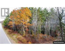 Lot Highway 10, New Albany, NS B0S1P0 Photo 5