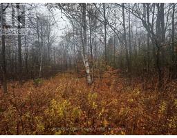 Lot County Road 43 Road, North Glengarry, ON K0C1A0 Photo 3