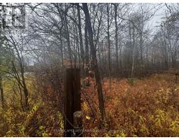 Lot County Road 43 Road, North Glengarry, ON K0C1A0 Photo 4