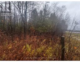 Lot County Road 43 Road, North Glengarry, ON K0C1A0 Photo 5