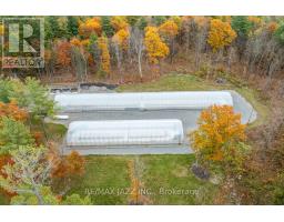 19 Ledge Road, Trent Lakes, ON K0M1A0 Photo 3