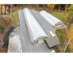 19 Ledge Road, Trent Lakes, ON K0M1A0 Photo 5